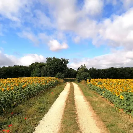 Le Verger Du Paradis * Beaulieu-sur-Sonnette